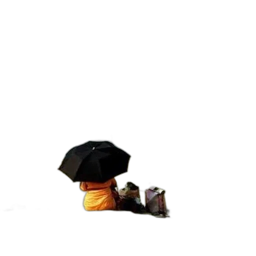 umbrella, shoes, hat, staff, 3d render, photorealistic, concept art, oil painting transparent PNG cut-out