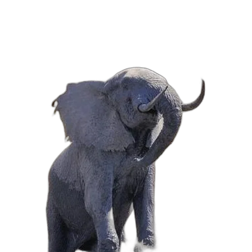 animal, creature, staff, weapon, 3d render, photorealistic, concept art, playful transparent PNG cut-out