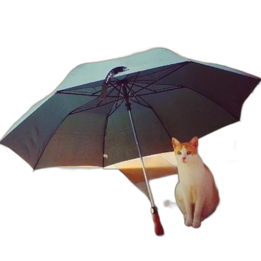 umbrella, animal, staff, hat, photorealistic, 3d render, concept art, rain transparent PNG cut-out