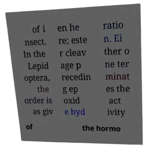 robot, creature, dress, text-based, image, discussing, order, insect transparent PNG cut-out