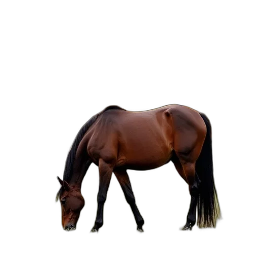 animal, hair, creature, staff, photorealistic, 3d render, pixel art, concept art transparent PNG cut-out