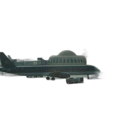 staff, weapon, animal, 3d render, photorealistic, concept art, large, airplane transparent PNG cut-out