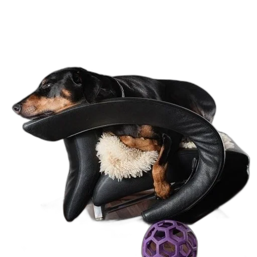 hat, furniture, shoes, black transparent PNG cut-out