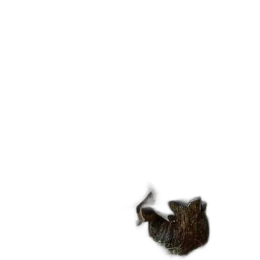 hair, animal, creature, dragon, 3d render, photorealistic, pixel art, concept art transparent PNG cut-out