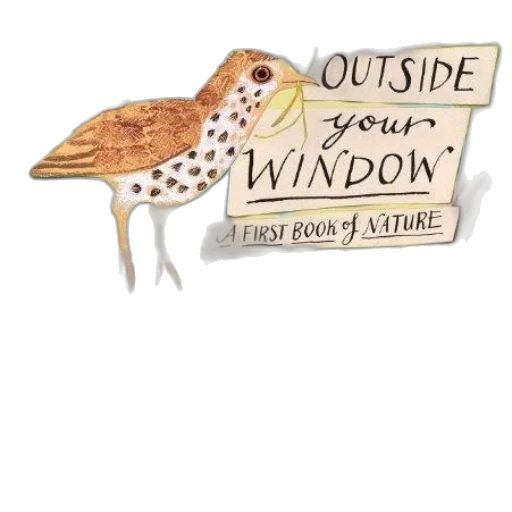 book, cover, bird, nest, illustration, titled, outside, window transparent PNG cut-out