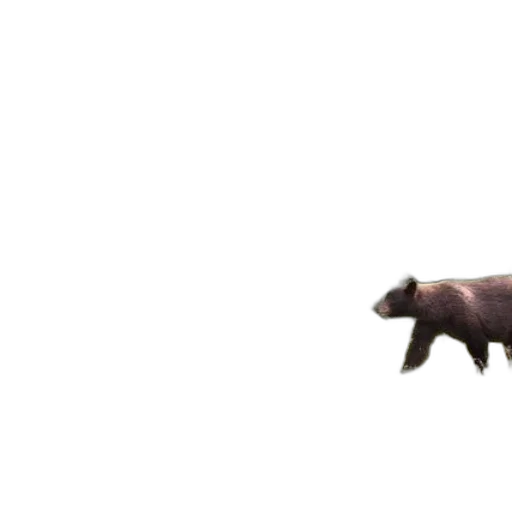 animal, creature, weapon, dragon transparent PNG cut-out