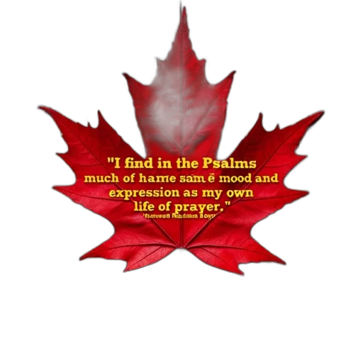 red, maple, leaf, centered, wooden, background, quote, reverend transparent PNG cut-out