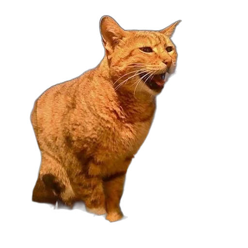 animal, creature, face, staff, photorealistic, 3d render, pixel art, concept art transparent PNG cut-out