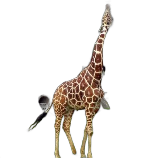 animal, creature, staff, hat, 3d render, concept art, photorealistic, watercolor transparent PNG cut-out