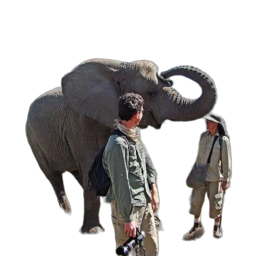 animal, creature, weapon, jacket, concept art, 3d render, photorealistic, earth tones transparent PNG cut-out
