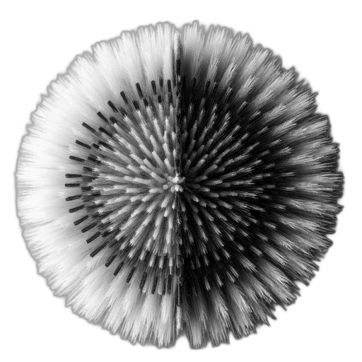 flower, crown, hair, hat, 3d render, photorealistic, pencil sketch, monochrome transparent PNG cut-out