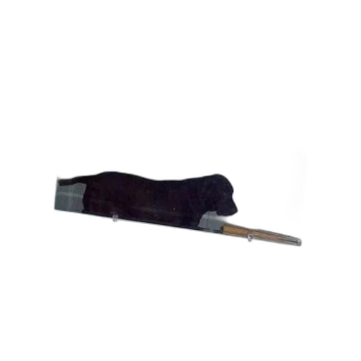 staff, weapon, umbrella, hat, black, dog, looking, through transparent PNG cut-out