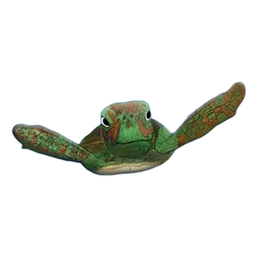 hat, mask, crown, staff, 3d render, photorealistic, sally, sea transparent PNG cut-out