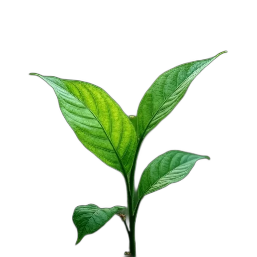 staff, flower, food, tree transparent PNG cut-out