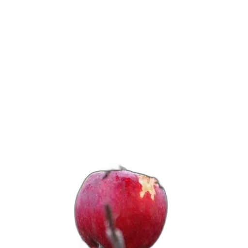 food, crown, weapon, animal, photorealistic, 3d render, pixel art, oil painting transparent PNG cut-out