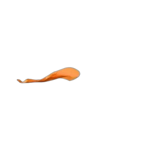 food, weapon, staff, animal transparent PNG cut-out