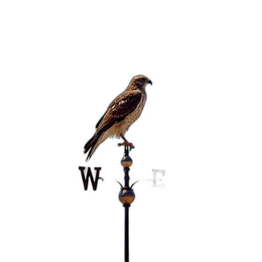 staff, animal, weapon, sword, photorealistic, watercolor, hawk, perched transparent PNG cut-out