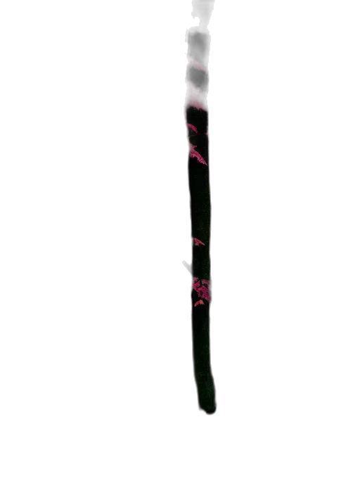 staff, weapon, sword, umbrella transparent PNG cut-out