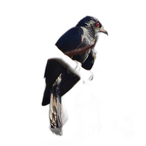 animal, staff, creature, jewelry, 3d render, photorealistic, concept art, fantasy art transparent PNG cut-out