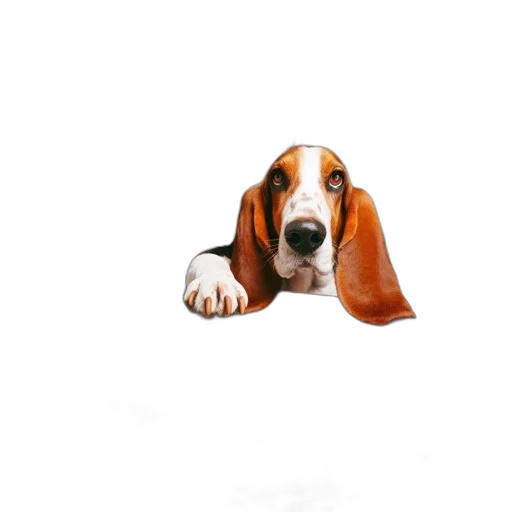animal, staff, creature, face, photorealistic, 3d render, concept art, oil painting transparent PNG cut-out