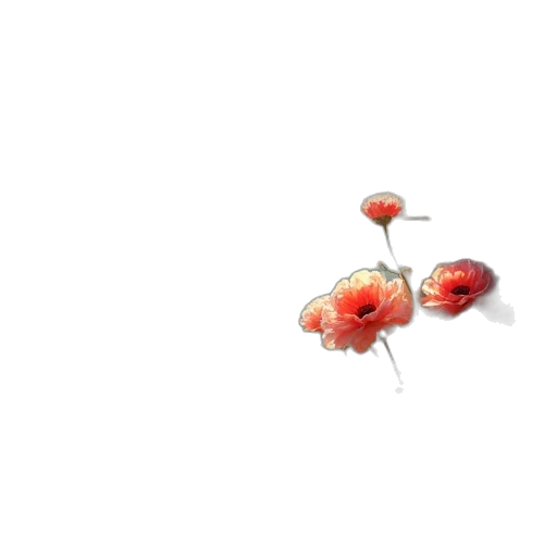 flower, food, jewelry, weapon transparent PNG cut-out
