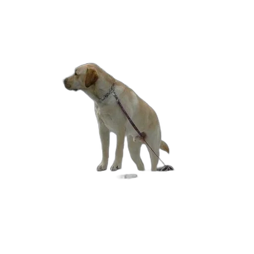 staff, animal, creature, weapon, 3d render, photorealistic, concept art, pixel art transparent PNG cut-out