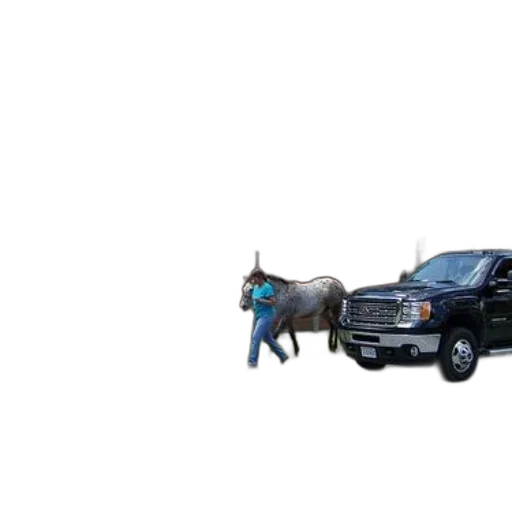 car, animal, weapon, concept art, pixel art, photorealistic, city street, person transparent PNG cut-out