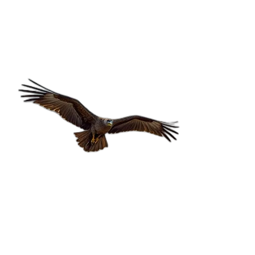 animal, creature, staff, jacket, photorealistic, 3d render, griffs, vulture transparent PNG cut-out