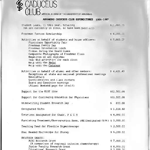 document, titled, caduceus, club, lists, various, expenditures, 1986-1987 transparent PNG cut-out