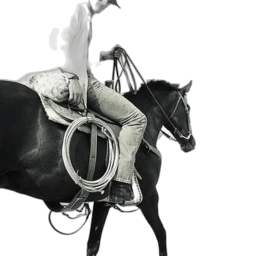 animal, jewelry, photorealistic, black, white, photo, person, riding transparent PNG cut-out