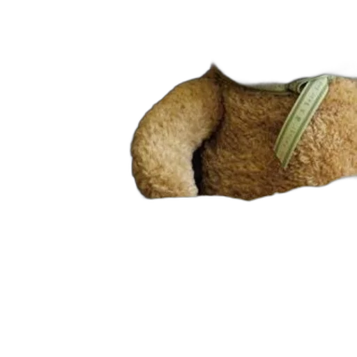 shoes, hat, food, mask transparent PNG cut-out