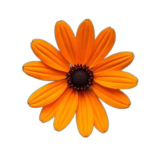 flower, crown, jewelry, staff, photorealistic, 3d render, oil painting, colorful transparent PNG cut-out