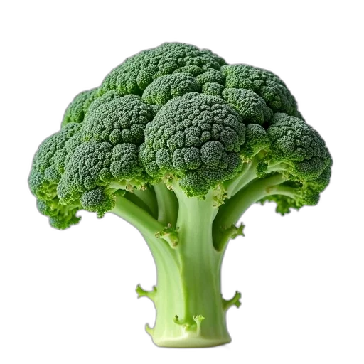 food, crown, weapon, animal, photorealistic, green, close-up, image transparent PNG cut-out