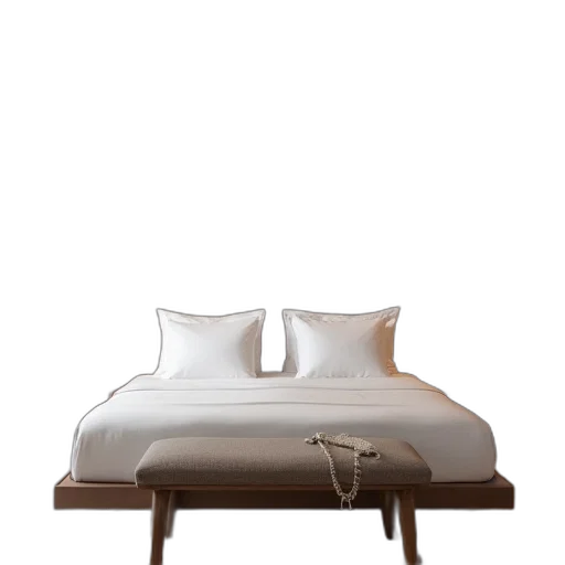 furniture, 3d render, photorealistic, earth tones, monochrome, bed, beds, room transparent PNG cut-out
