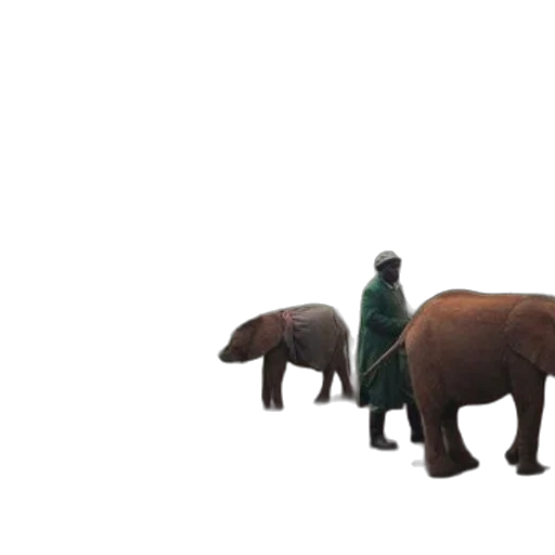 animal, creature, concept art, 3d render, pixel art, photorealistic, forest, snow transparent PNG cut-out