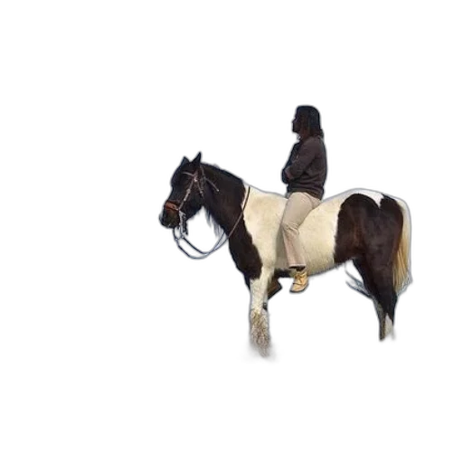 animal, staff, hat, creature, 3d render, concept art, photorealistic, pixel art transparent PNG cut-out