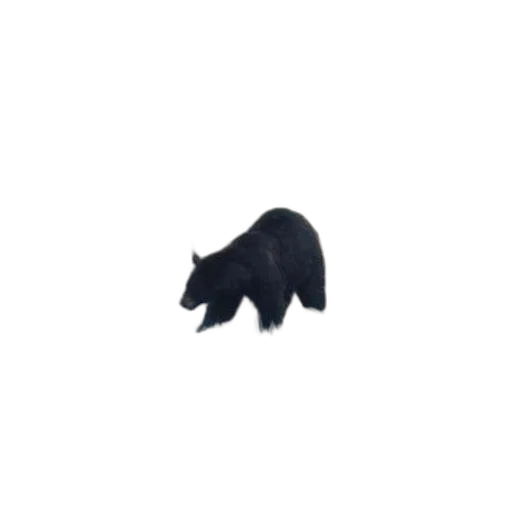 animal, creature, hat, staff, pixel art, concept art, 3d render, photorealistic transparent PNG cut-out