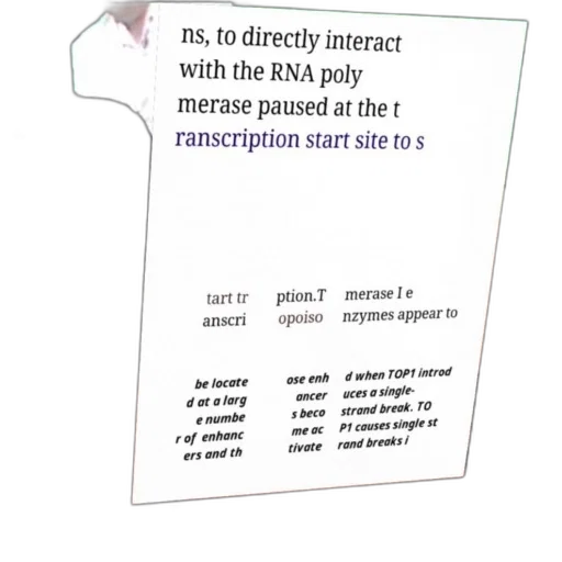 scientific, diagram, explaining, interaction, between, rna, polymerase, enhancers transparent PNG cut-out