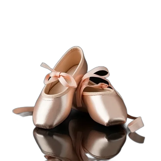 shoes, 3d render, photorealistic, earth tones, pair, ballet, ribbons, displayed transparent PNG cut-out