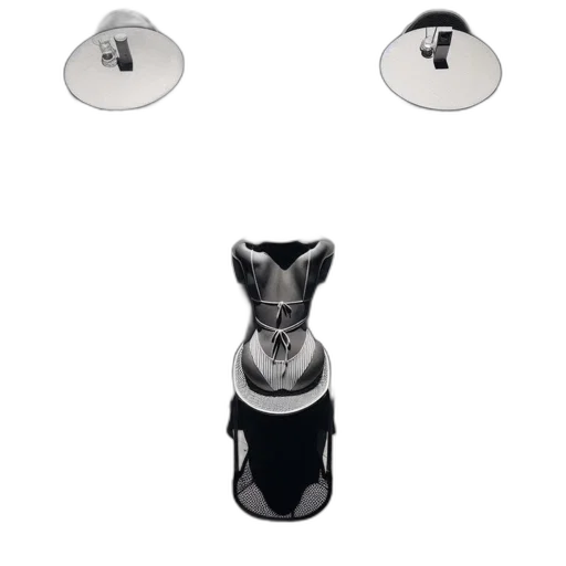 mask, robot, jewelry, face, 3d render, concept art, monochrome, individual transparent PNG cut-out