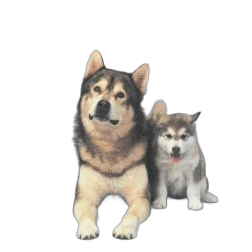 animal, staff, creature, 3d render, pixel art, photorealistic, concept art, cover transparent PNG cut-out