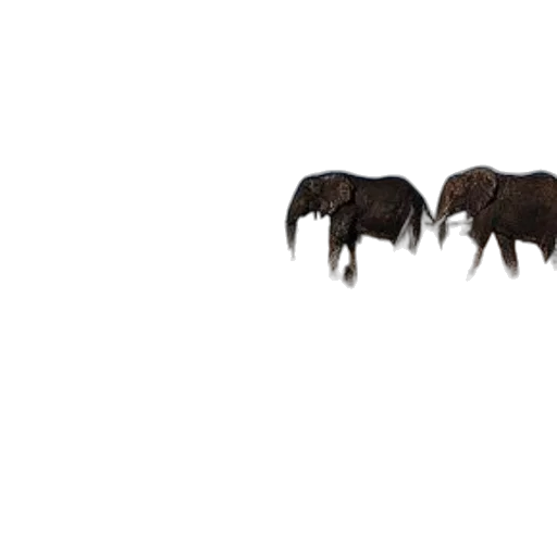 animal, creature, dragon, hair, concept art, 3d render, pixel art, photorealistic transparent PNG cut-out