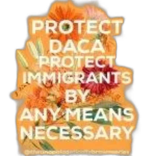 orange, poster, flowers, background transparent PNG cut-out