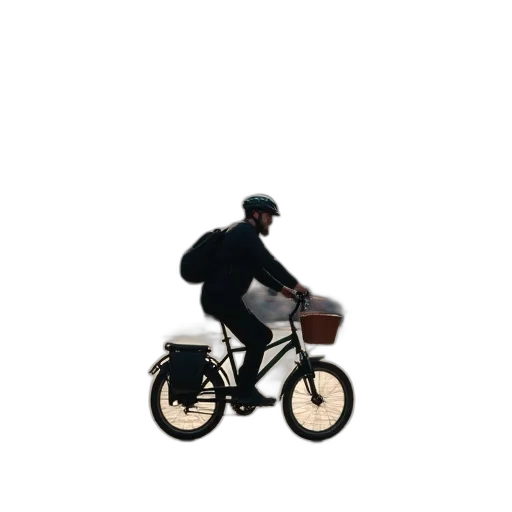 animal, car, creature, jacket transparent PNG cut-out