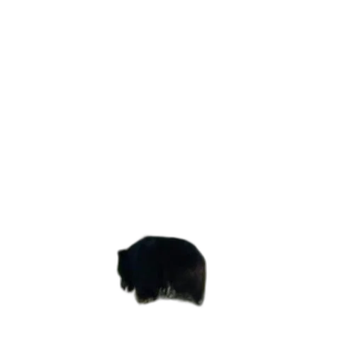 hat, animal, mask, hair, photorealistic, 3d render, pixel art, concept art transparent PNG cut-out