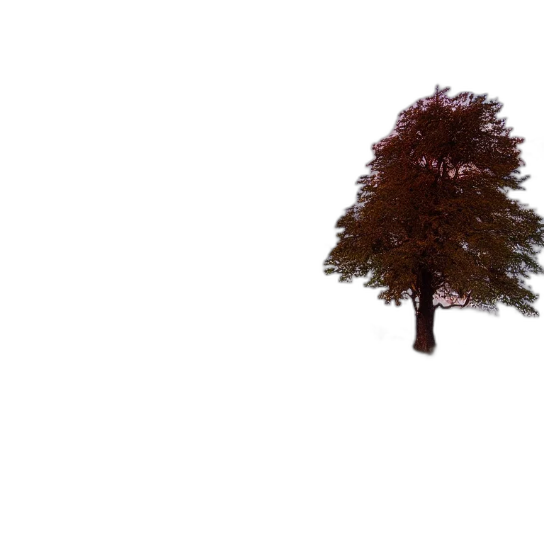 tree, crown, umbrella, car transparent PNG cut-out
