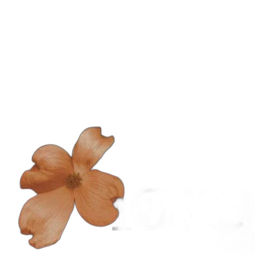flower, crown, jewelry, hair, 3d render, photorealistic, concept art, rain transparent PNG cut-out
