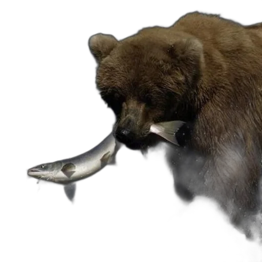 animal, creature, weapon, concept art, photorealistic, 3d render, brown, bear transparent PNG cut-out
