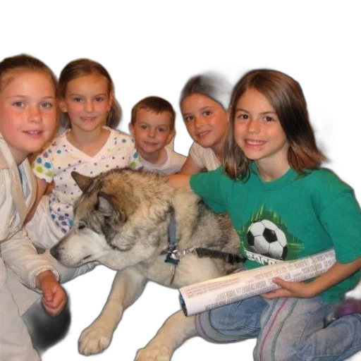 staff, animal, creature, dragon, photorealistic, group, children, pose transparent PNG cut-out