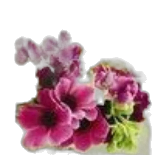 flower, jewelry, crown, food, photorealistic, 3d render, oil painting, pastel transparent PNG cut-out